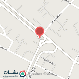 عکس گروه نقشه برداری آراس