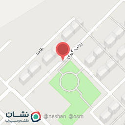 عکس زینب کبری