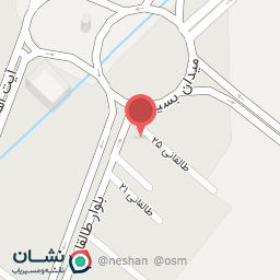 عکس سیم کشی اتومبیل اسدالله انصاری