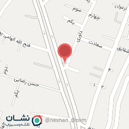 عکس پیتزا تنوری سعید