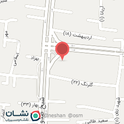 عکس دکتر صدیقه شیروانی بروجنی