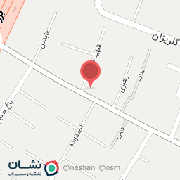 عکس پیرایش کامی سیلور