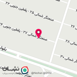 عکس یاوران شب چراغ شیراز