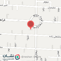 عکس کفش زرگر 