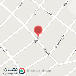 عکس آجیل و خشکبار سلین