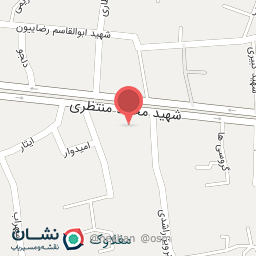 عکس دان پرنده امیرذوالقدر