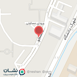 عکس تهیه غذا پارسی