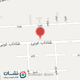 عکس تعویض روغنی نیکو