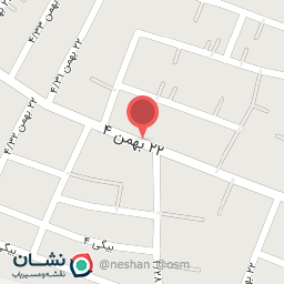 عکس  22بهمن 4/29