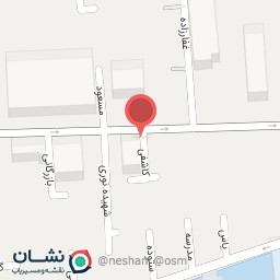 عکس فیروزه برادران حسنی