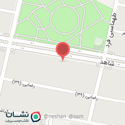 عکس پیراهن انصار