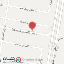 عکس مکانیکی سید مهدی