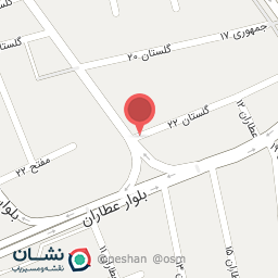 عکس تهیه غذا پارسا