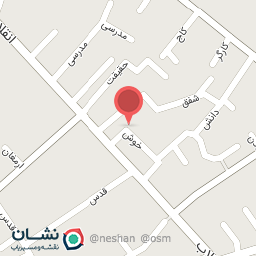 عکس پیتزا میزا