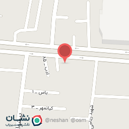 عکس فست فود کپل