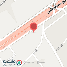 عکس پخش دانه پرندگان متین