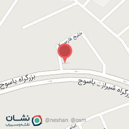 عکس پیتزا و ساندویچ سیاوش