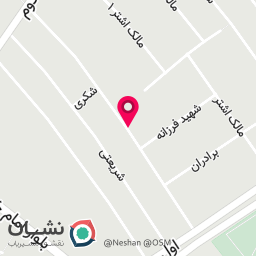 عکس سلین کالکشن