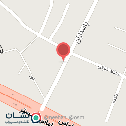 عکس گلفروشی افکاری 