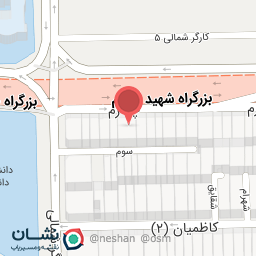 عکس دکتر شهلا مشاغی