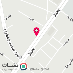 عکس دکتر فاطمه وزیری سرشک