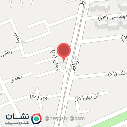 عکس کیف و کفش ماهرانی