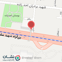 عکس خودپرداز