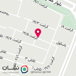 عکس نقاشی اتومبیل مجید منتظری