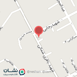 عکس دزدگیر طاها_نمایندگی ردیاب وی فایندر 