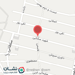 عکس الکتریکی