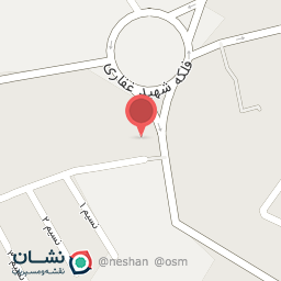 عکس پیتزا، ساندویچ آیدین 