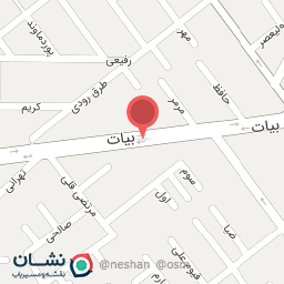 عکس کفش پردیس