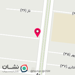 عکس پزشک ویدا حکیمی نجف آبادی