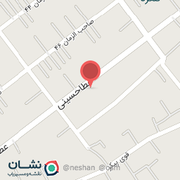 عکس برق خودرو محسن