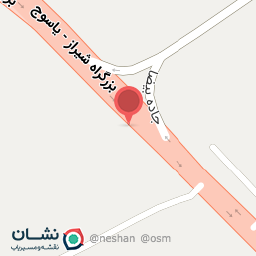 عکس کفش علی