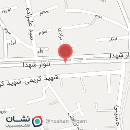 عکس اتو حق شناس