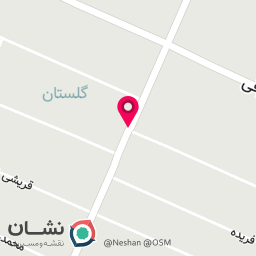 عکس کفش پاپوش