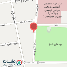 عکس ذغالی برگر پارک