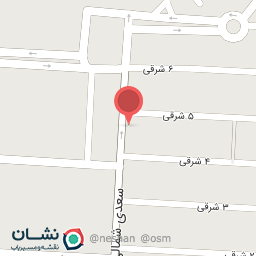 عکس پیتزا مانی 