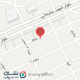 عکس آریا سوله 