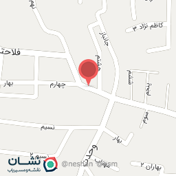 عکس فست فود لیوا