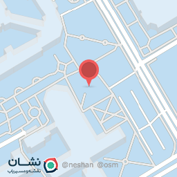 عکس دکتر میرجعفر ابریشم چیان