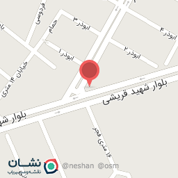 عکس برادران عزیزی