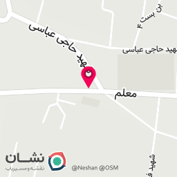 عکس فلافلی عمو مهدی