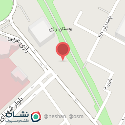 عکس دکتر رضیه رازی