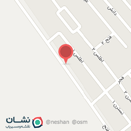 عکس گروه فنی نارویی