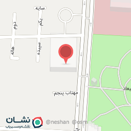 عکس کیف و کفش مدا رز