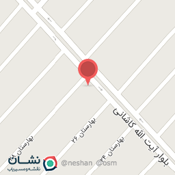 عکس پیتزا ساندویچ پانیذ