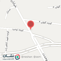 عکس تهیه غذای آریا 