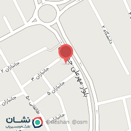 عکس برق اتومبیل حمید شهرکی